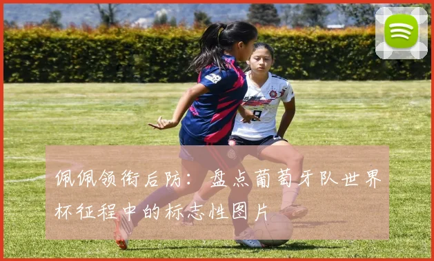 佩佩领衔后防：盘点葡萄牙队世界杯征程中的标志性图片