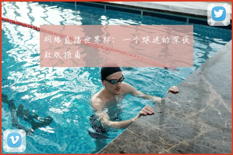 网络直播世界杯：一个球迷的深夜狂欢指南