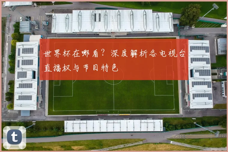 世界杯在哪看？深度解析各电视台直播权与节目特色