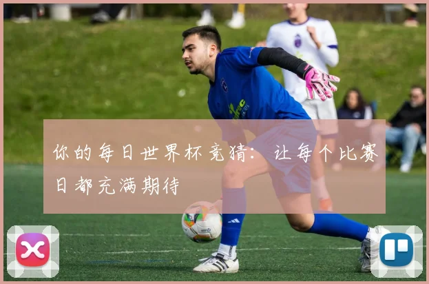 你的每日世界杯竞猜：让每个比赛日都充满期待