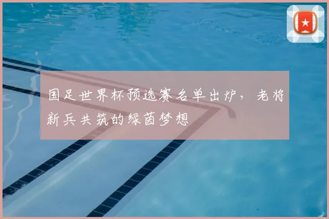 国足世界杯预选赛名单出炉,老将新兵共筑的绿茵梦想