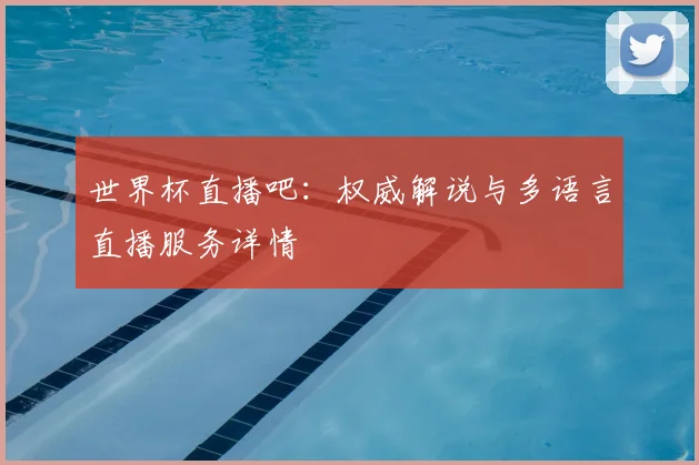 世界杯直播吧：权威解说与多语言直播服务详情