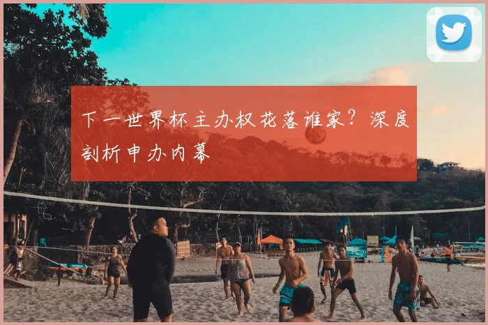 下一世界杯主办权花落谁家？深度剖析申办内幕