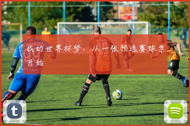 我的世界杯梦，从一张预选赛球票开始