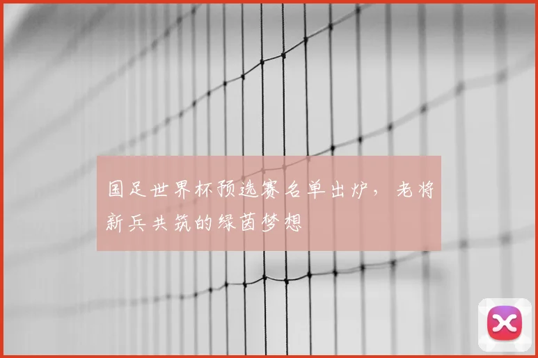 国足世界杯预选赛名单出炉,老将新兵共筑的绿茵梦想