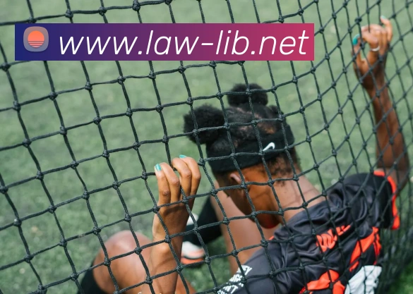 数据防护可视化